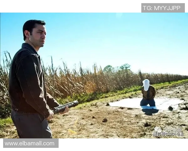 高额赌客的奢华生活与破产悲剧交织的命运之旅